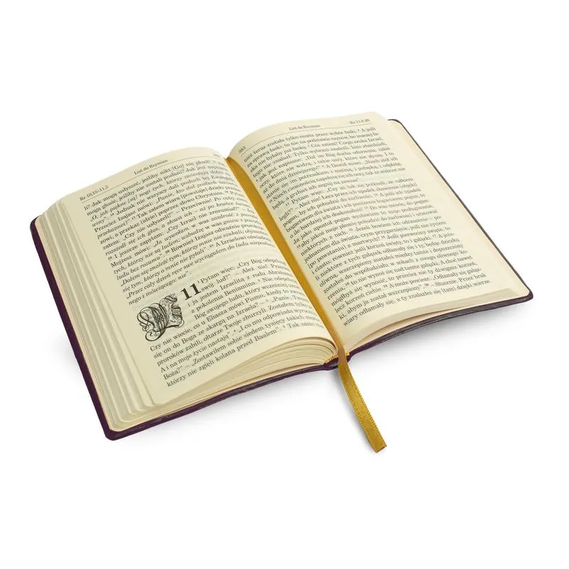 Zróżnicowane spojrzenie na opis stworzenia świata w Biblii: co warto wiedzieć?