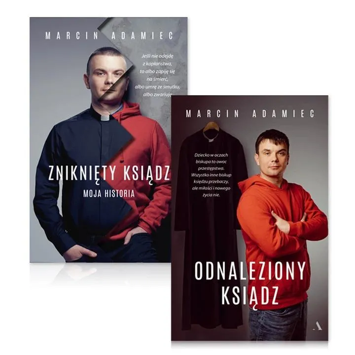 Reakcje fanów na sequel