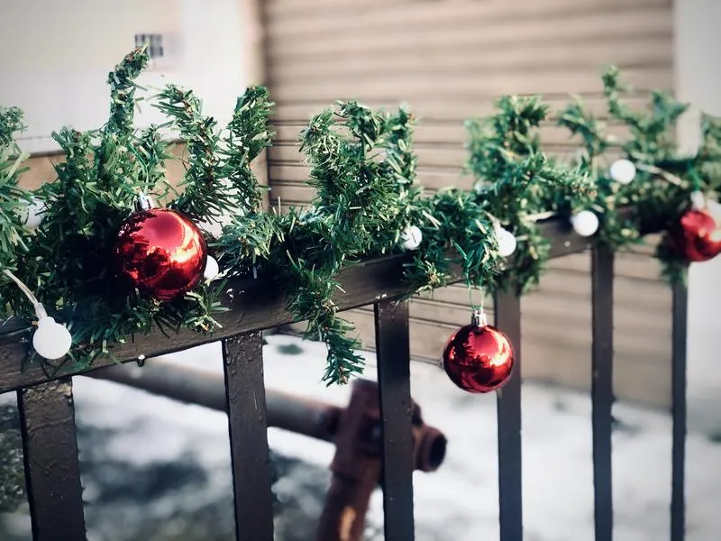 Rośliny na świąteczny balkon