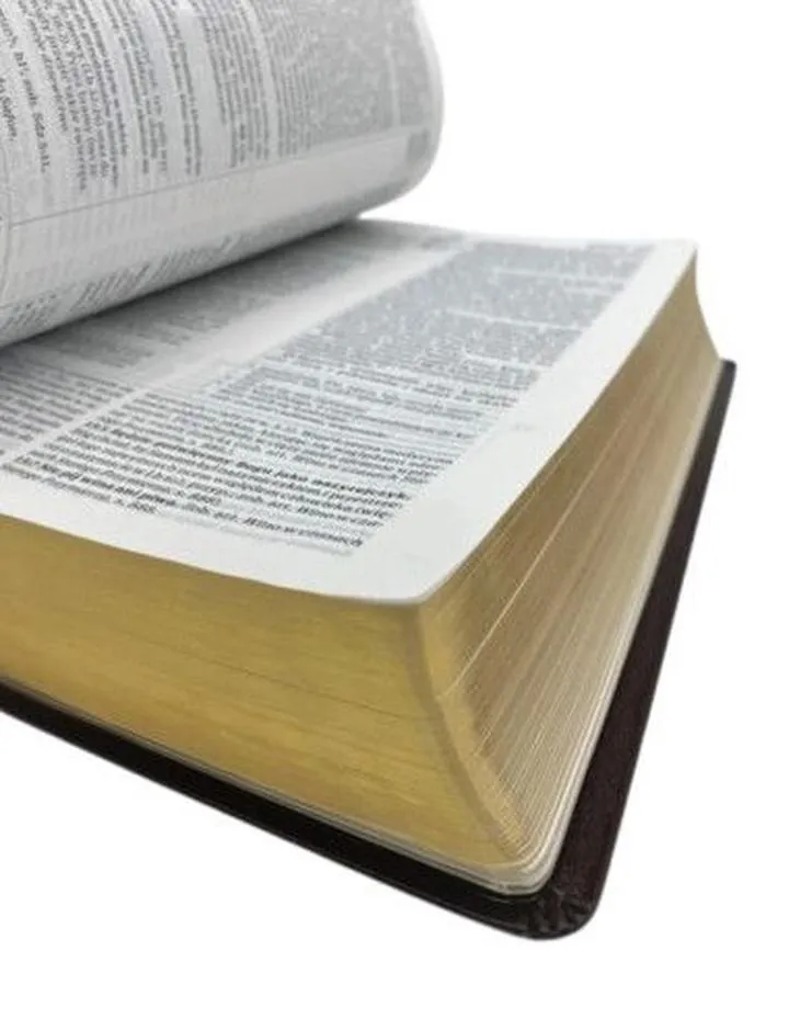 Stworzenie świata w Biblii